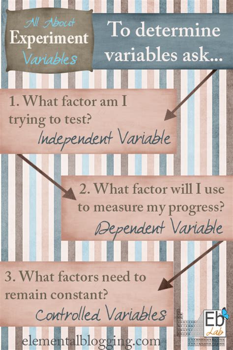 Science Corner: All About Experiment Variables