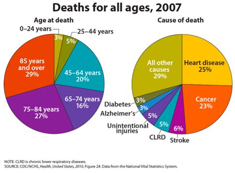 Most Common Causes of Death | Lifespan Development