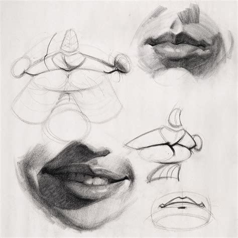 Proko - How to Draw Lips – Anatomy and Structure | Lips drawing ...