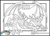 Skylander Imaginators Coloring Pages At GetDrawings  Free Download sketch template