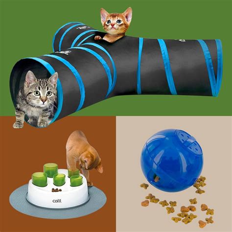 The Best Interactive Cat Toys 2024 | Toys That Keep Cats Busy