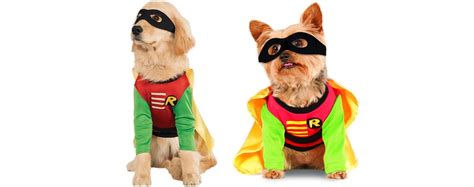 Halloween Costumes for your Shiba Inu – NorCal Shiba