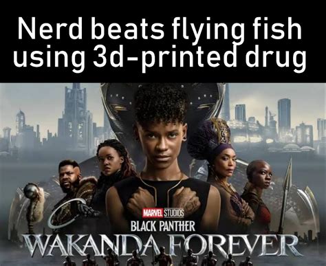 Explain Wakanda Forever plot badly : r/marvelmemes