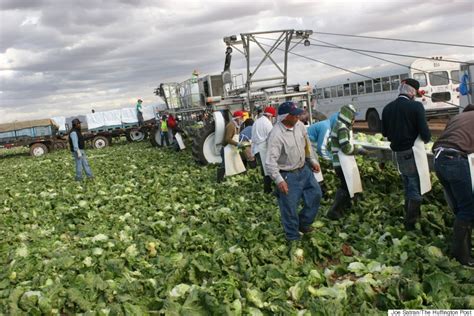 This Is Where America Gets Almost All Its Winter Lettuce | HuffPost