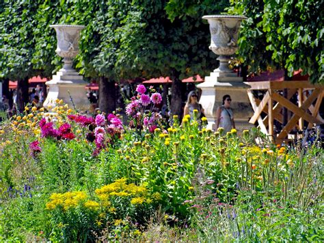 Is the Tuileries Garden in danger? - French Moments