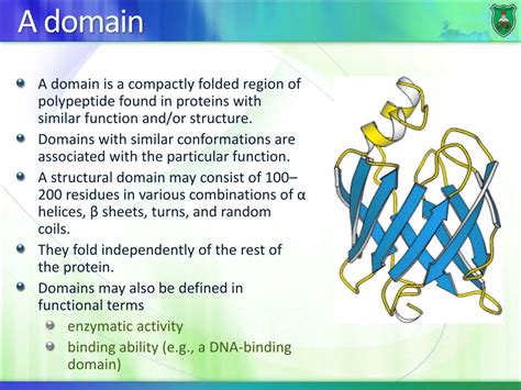 PPT - Protein structure PowerPoint Presentation, free download - ID:9193673