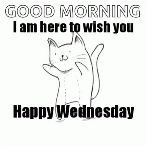 Happy Wednesday GIF - Happy Wednesday - Discover & Share GIFs