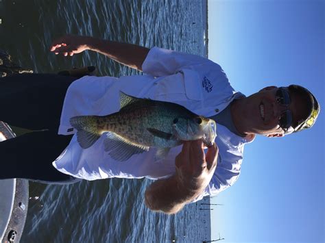 Lake Fork Crappie Fishing, Lake Fork Crappie Fishing Report - DSP Guide