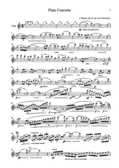 Sibelius violin concerto - pikoldynamic