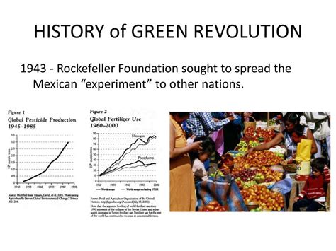 PPT - THE GREEN REVOLUTION PowerPoint Presentation, free download - ID:1695880