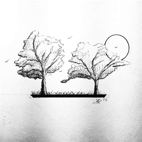 Two summer trees : drawing