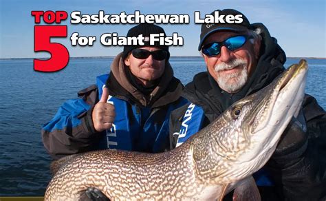 Top 5 Saskatchewan Lakes for Giant Fish | Fish'n Canada