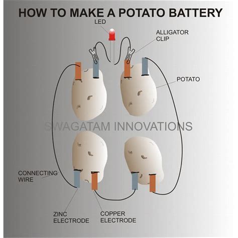 Potato battery, Potato light bulb, Battery powered light