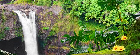 Enjoy the Ethereal Beauty of the Waterfalls Near Hilo