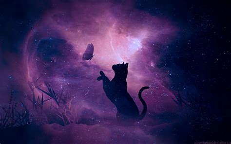 Download wallpaper 3840x2400 cat, silhouette, butterfly, starry sky, galaxy, stars, shine 4k ...