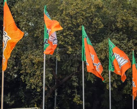 Bharatiya Janata Party Flag of Indian Political Party, BJP Bhartiya Janta Party Flag Waving ...