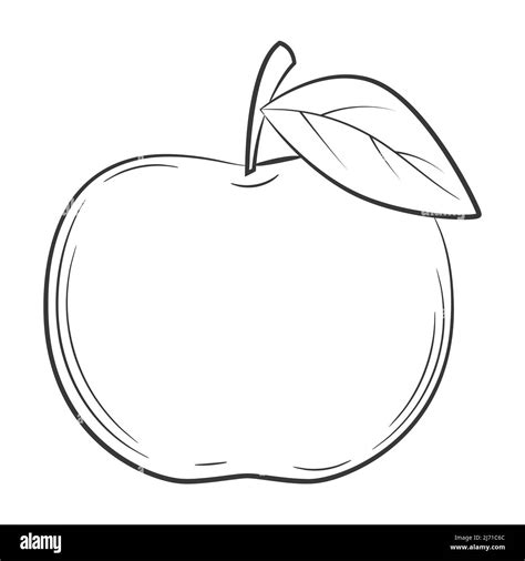 Fruits Clipart Black And White