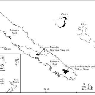 Density (including 95 % CIs) of New Caledonian Parakeets (NCP), Horned... | Download Scientific ...