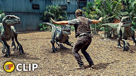 Raptors Training - "Stand Down" Scene | Jurassic World (2015) Movie Clip HD 4K - YouTube