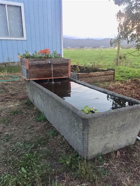 DIY water trough pond fountain with planter box | Garden pond design ...