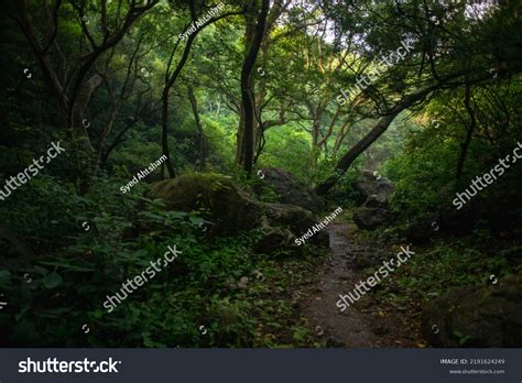 15,086 Forest Pakistan Images, Stock Photos & Vectors | Shutterstock