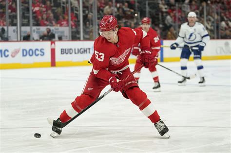 Projecting Detroit Red Wings’ defense pairs, goaltending depth chart - mlive.com