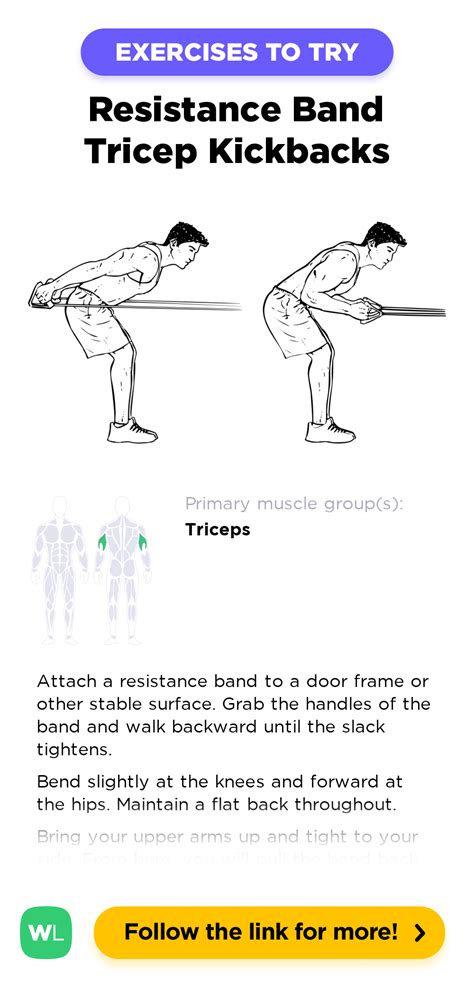 Resistance Band Tricep Kickbacks – WorkoutLabs Exercise Guide