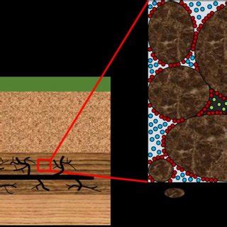 (PDF) An adsorbed gas estimation model for shale gas reservoirs via statistical learning