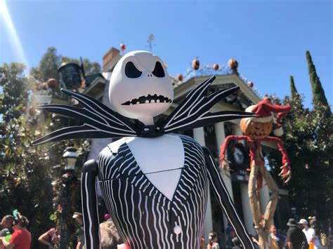 PHOTOS: New Jack Skellington Sipper Arrives at Disneyland Park for Halloween Time - WDW News Today