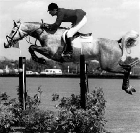 George Morris On "BRUSSELS" The Pair Won The Cleveland Grand Prix In 1984 Stadium Jumping ...