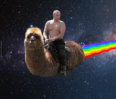 'Putin Rides' memes to be showcased at Dundee exhibition - The Courier