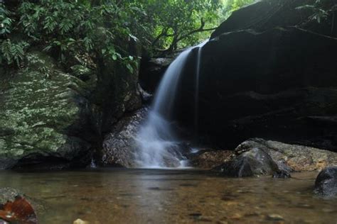 Tijuca Forest Waterfalls