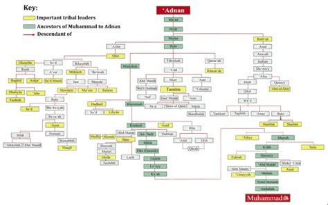 How Al-Saud family and Prophet Mohammed are relatives | The Milli Chronicle