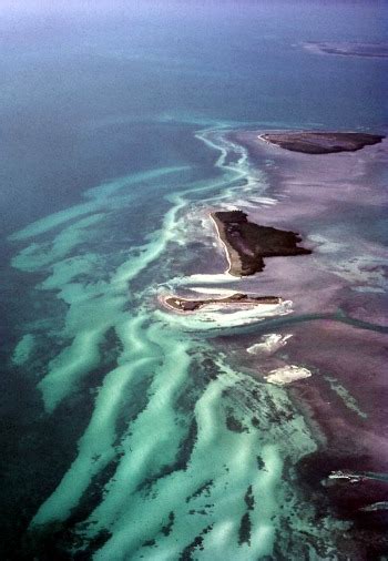 Marquesas Keys Fishing, Key West's 'Secret' Hot Spot