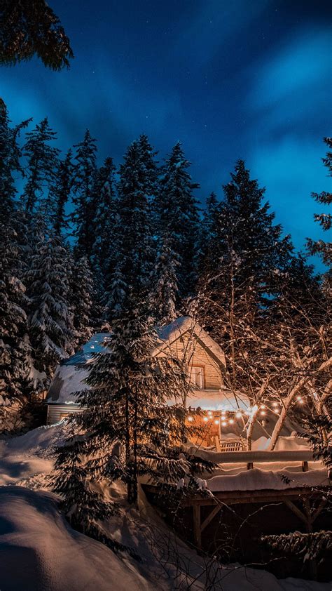 House Surrounded By Snow Covered Christmas Fir Tree In Forest During ...