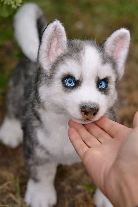 Realistic Husky MADE TO ORDER Puppy Ooak Doll Sewing Toy Eco Fur ...