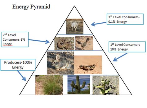 Energy Pyramid - The Desert