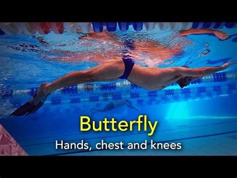 Butterfly swimming technique. How to swim butterfly. Beginner | Swim ...