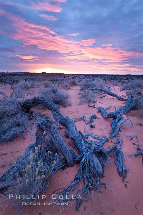 Sunrise over the South Coyote Buttes, Paria Canyon-Vermilion Cliffs ...