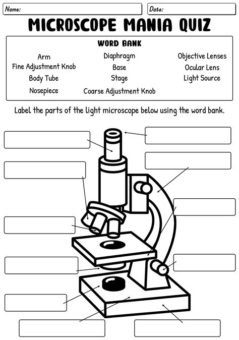 Parts Of A Microscope Worksheets Answers