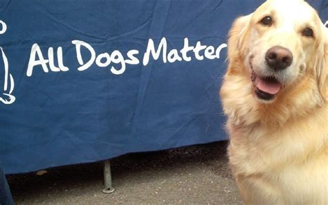 All Dogs Matter - M7 PR