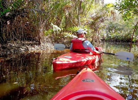 Have Retirement. Will Travel.: Kayaking At Manatee Park In North Fort Myers