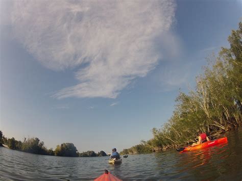 Tips for Kayaking on Merritt Island, Florida - This Is My South