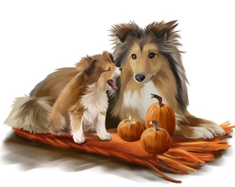 Pin on Dog art | Sheltie, Sheltie dogs, Snow puppy