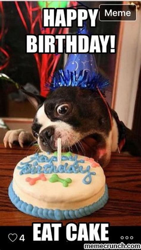 101 Funny Happy Birthday Dog Memes for Paw Lovers Everywhere | Dog ...