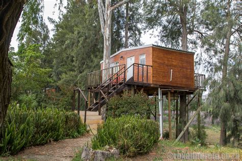 Stay in a treehouse at Tulbagh in the Cape Winelands - Roxanne Reid ...