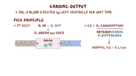 Measuring cardiac output (Fick principle): Video | Osmosis