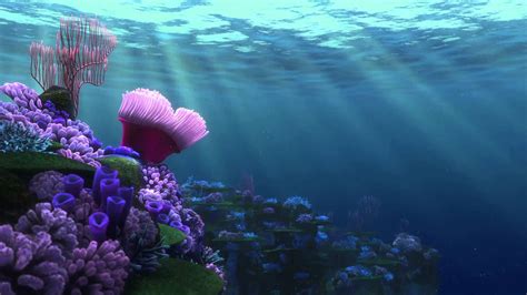 Finding Nemo Desktop Wallpapers - 4k, HD Finding Nemo Desktop ...