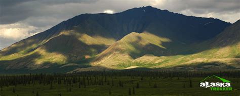 Denali Hiking in Denali National Park Alaska Hiking in the