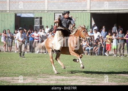 Young Gaucho riding a horse - Argentina Stock Photo - Alamy